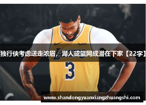 独行侠考虑送走浓眉，湖人或篮网成潜在下家【22字】