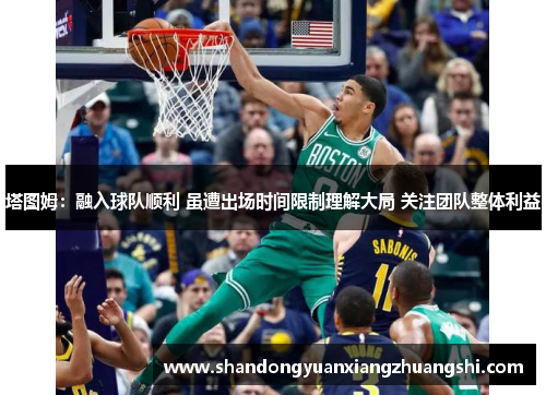 塔图姆：融入球队顺利 虽遭出场时间限制理解大局 关注团队整体利益